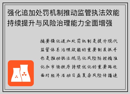 强化追加处罚机制推动监管执法效能持续提升与风险治理能力全面增强